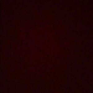 Meet your Posher, Lily